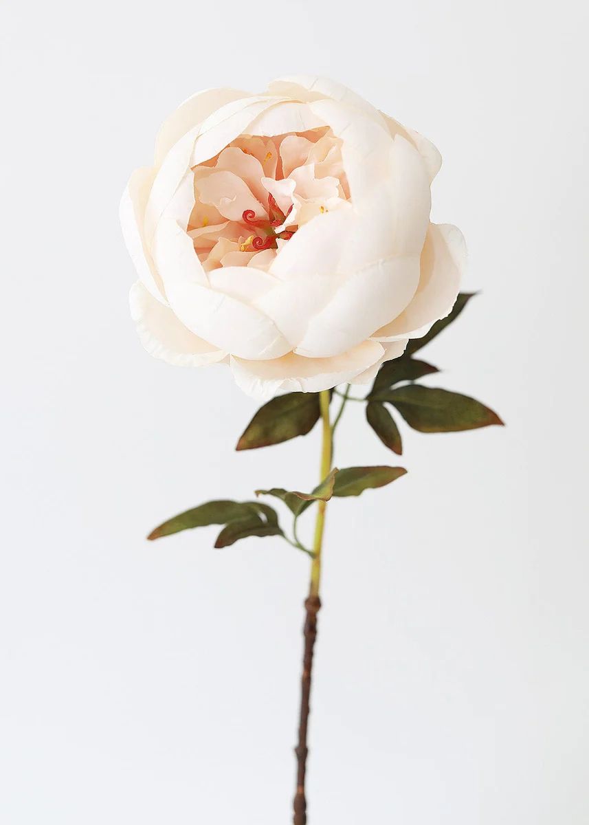 Artificial Peony Flower in Ivory - 24 | Afloral (US)