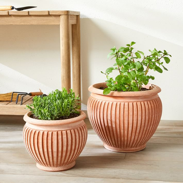 Bergs Piccolina Indoor/Outdoor Planters | West Elm (US)