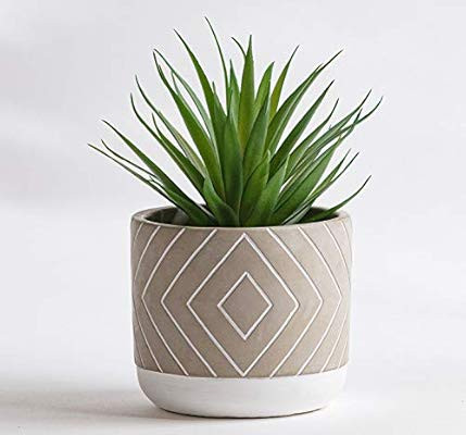 Kurrajong Farmhouse 8" x 4.5" Artificial Green Plant in Gray Cement Pot, Beautiful Feaux Plant, S... | Amazon (US)