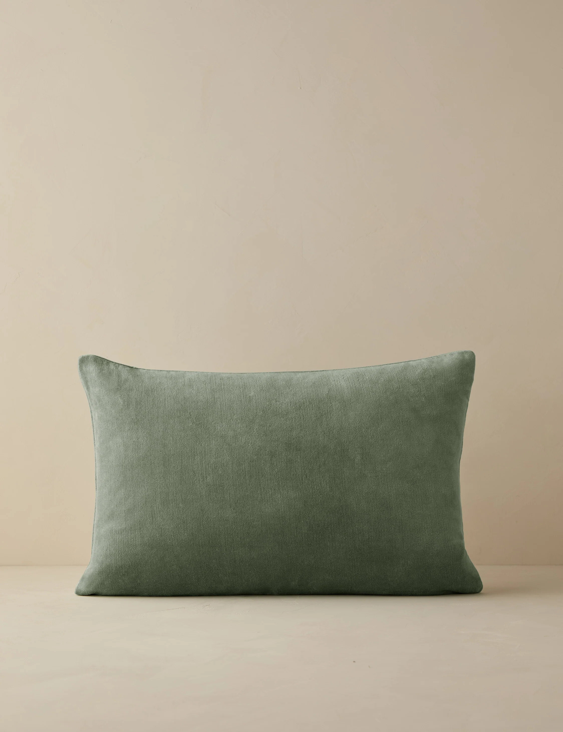 Charlotte Velvet Pillow | Lulu and Georgia 