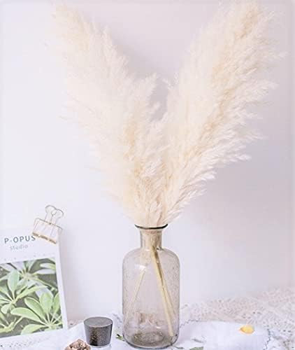 4 pcs - small pampas grass decor - boho room décor, wedding, home office, living room decor and ... | Amazon (US)