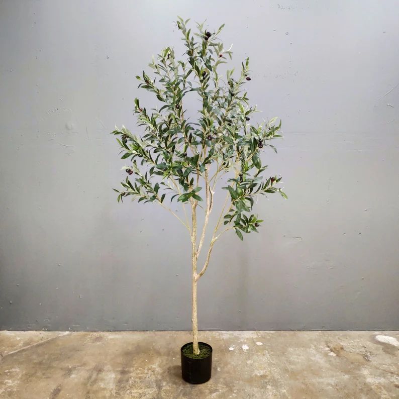 4 Foot6 Foot Artificial Olive Treeartificial Treesilk | Etsy | Etsy (US)