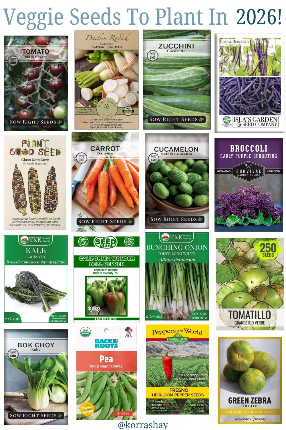 Veggie seeds to plant in 2026! My favorite types of vegetables to grow in your spring summer garden! 

#LTKspring #LTKHome #LTKmomlife