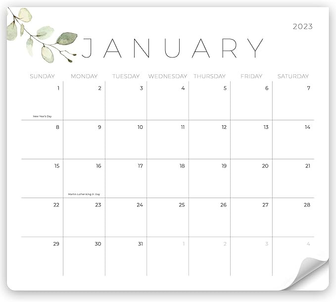 Beautiful 2023 Magnetic Fridge Calendar - Runs Until July 2024 - The Perfect Monthly Calendar Wit... | Amazon (US)