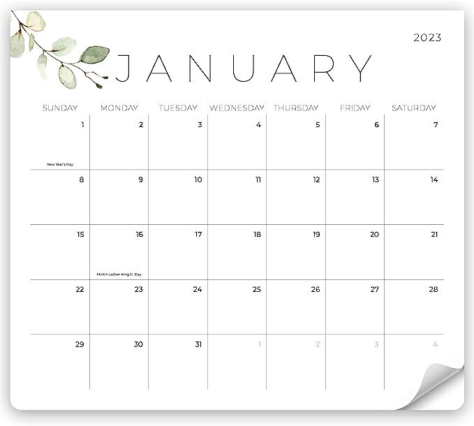 Beautiful 2023 Magnetic Fridge Calendar - Runs Until July 2024 - The Perfect Monthly Calendar Wit... | Amazon (US)