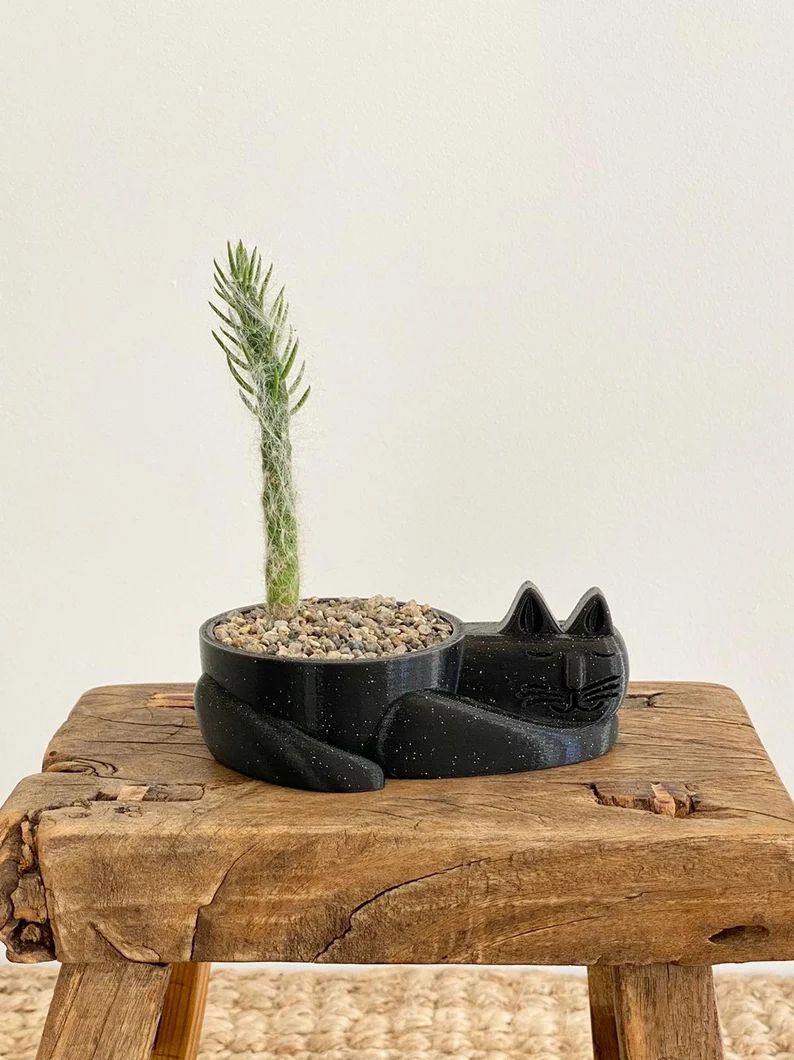 Cute Sleepy Cat Planter Cactus or Succulent Tail - Plant Gift Idea - Cat Loss Memorial -  Kitten ... | Etsy (US)