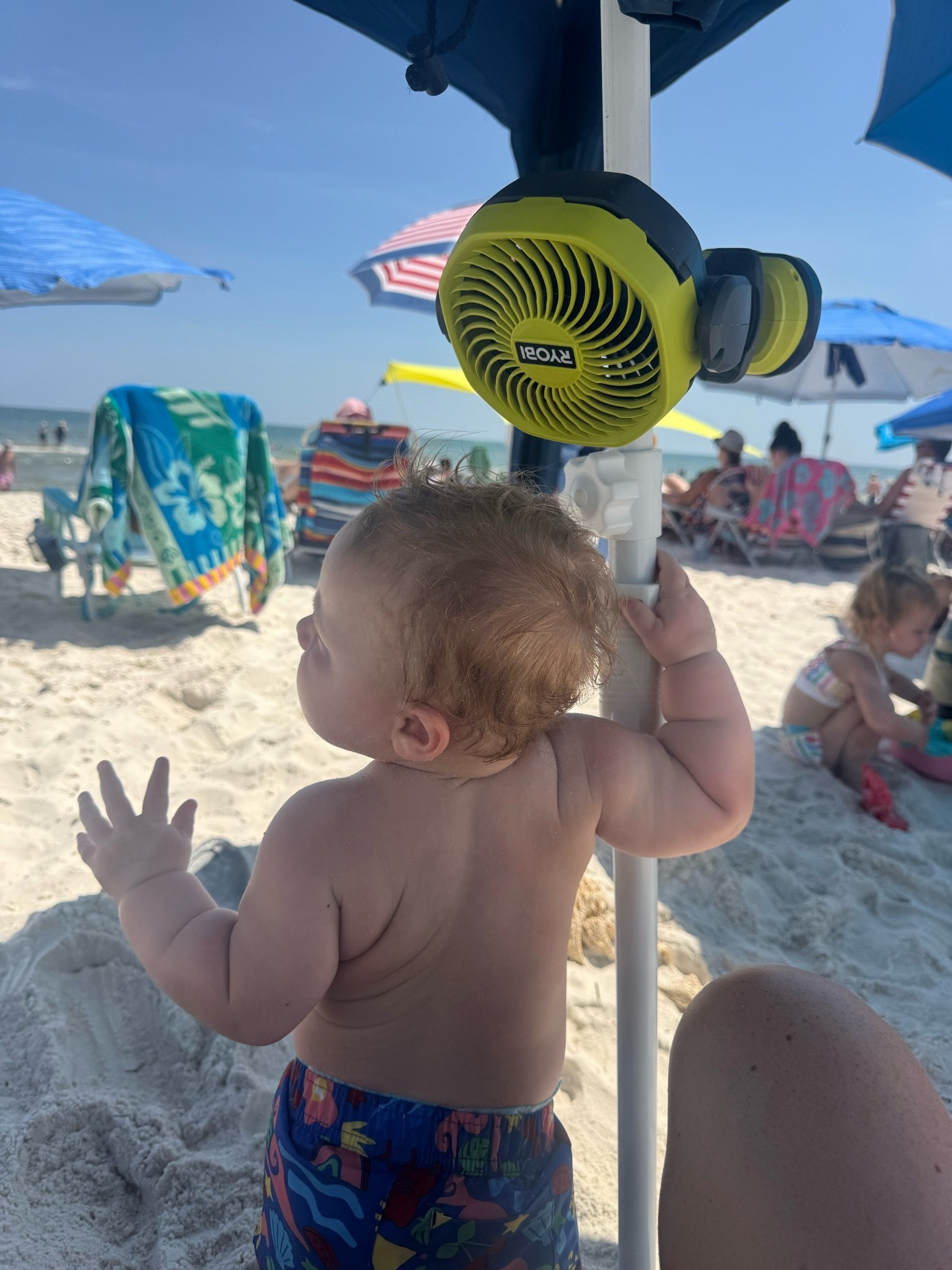 Best way to keep the babies cool during beach naps!

#LTKmomlife #LTKKids #LTKTravel