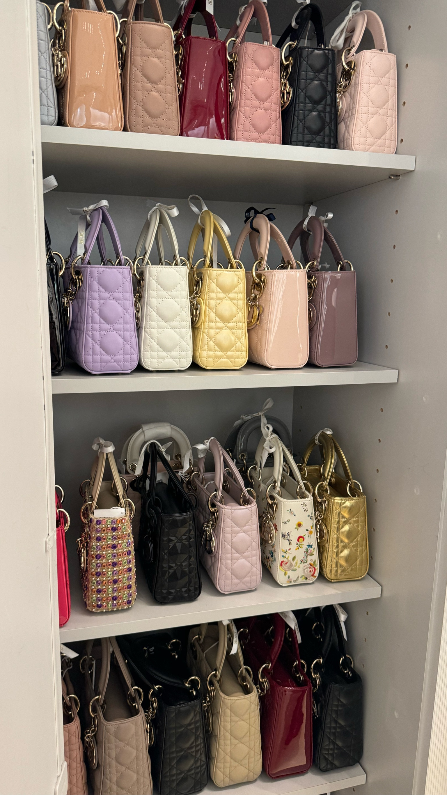 Dior Bags (limited edition) 👀🤍

#LTKGiftGuide #LTKStyleTip #LTKItBag