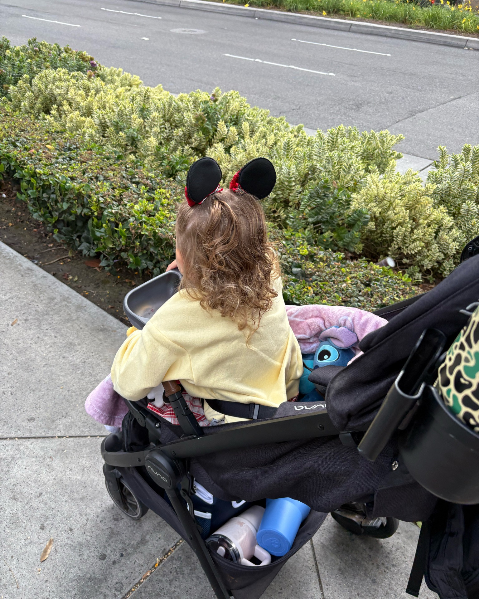 DISNEYLAND STROLLER MUST HAVES

#LTKKids #LTKTravel #LTKmomlife