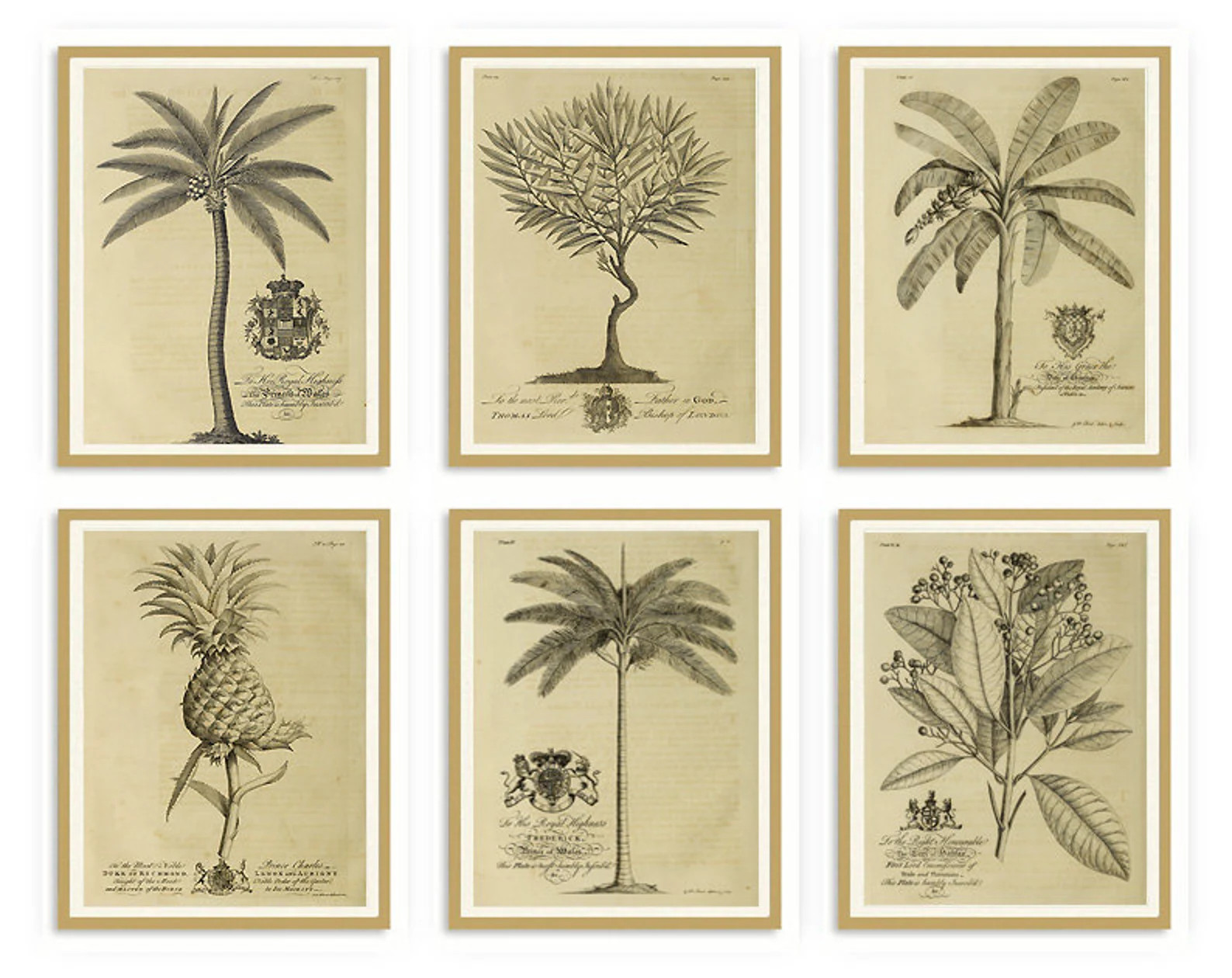 Vintage Botanical Prints Set, Tropical Palm Tree, Coastal Beach Wall Decor | Etsy (Global)