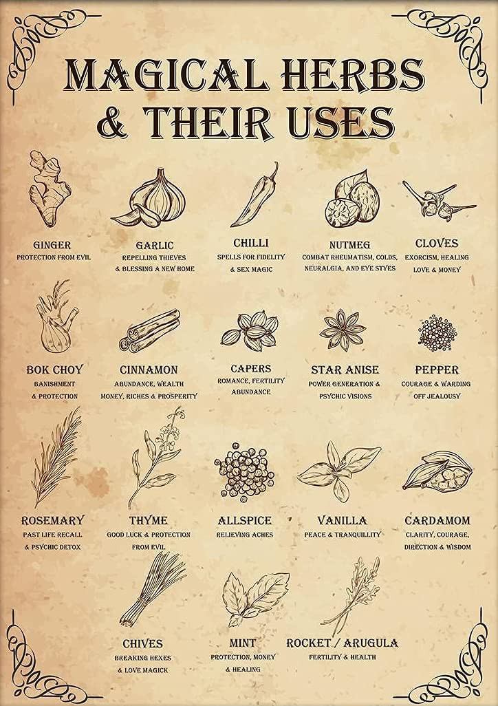 DZQUY Magical Herbs And Their Uses Witchy Poster Kitchen Witch Wall Art Vintage Kitchen Witchery ... | Amazon (US)