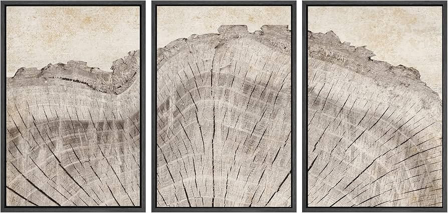 SIGNWIN Framed Canvas Print Wall Art Set Retro Close Up Oak Wood Tree Rings Nature Wilderness Ill... | Amazon (US)