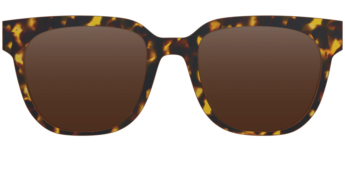 The Polarized Tortoise Sun Top | Pair Eyewear