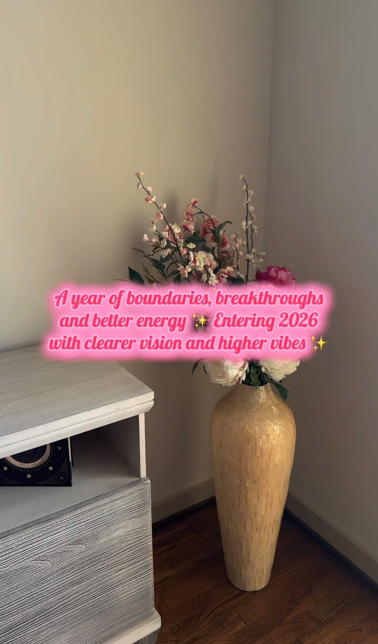 A year of boundaries, breakthroughs and better energy ✨ Entering 2026 with clearer vision and higher vibes ✨ #glowupera #2026goals #manifestyourdreams