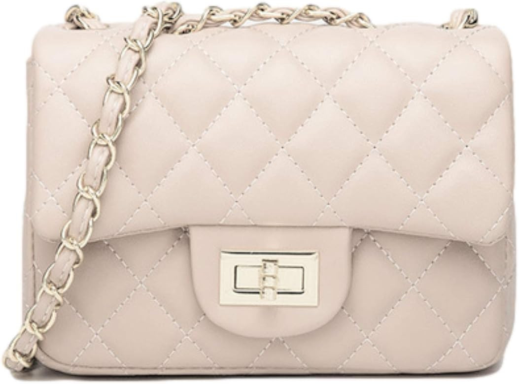 Women's Quilted Shoulder Bag | Chain Link Strap Clutch Purse | Crossbody Mini Messenger Handbag | Amazon (CA)