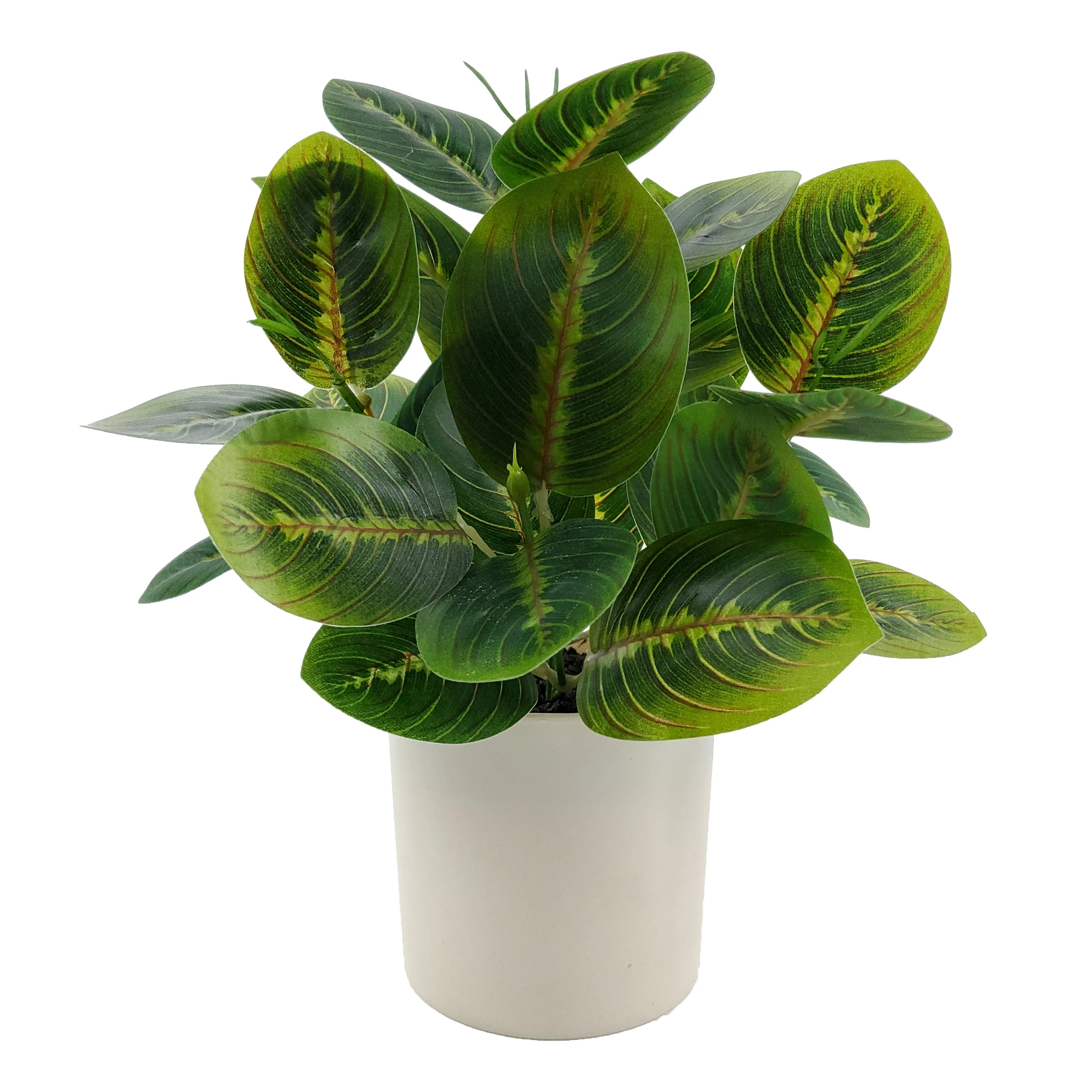 Mainstays Indoor 10 inch Artificial Polyester Prayer Plant In Plastics Pot,Green Color, 1 Piece. | Walmart (US)