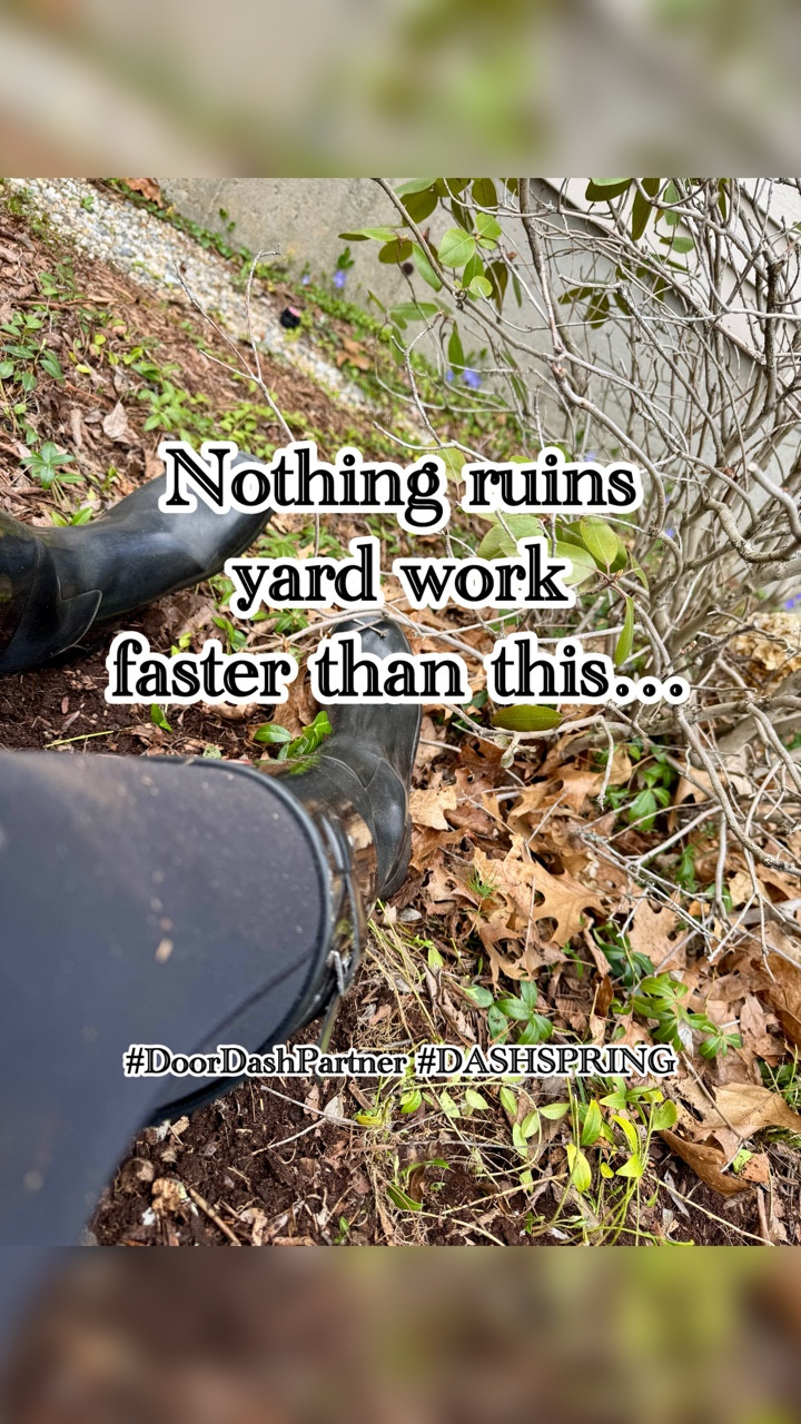 #DoorDashPartner #DASHSPRING 

Nothing derails productivity faster than running out of something right in the middle of a project.
I was finally tackling spring yard clean-up…�and ran out of trash bags halfway through.
Not stopping. Not getting in the car. Not losing momentum.
So I used DoorDash to order what I needed and had it delivered — fast — so I could finish the job without leaving.
This is exactly how I’ve been using DoorDash lately — not just for food, but for real-life moments when stopping everything to run to the store just doesn’t make sense.
✔️ spring cleaning supplies�✔️ home project essentials�✔️ last-minute needs�✔️ everyday restocks
It’s basically a 24/7 life assistant for those “I need this NOW” moments.

#DoorDashPartner #DASHSPRING. Click the link in my bio and use code DASHSPRING30 to get 30% off your first retail or grocery order of $35 or more, up to $20 off. Valid through April 30, 2026. Valid in the U.S. Not valid on pickup or alcohol. Limit one per person. Participating merchants only. Fees, taxes, and gratuity apply. Terms apply.

Save this for your next “mid-project emergency” moment.

And tell me…�what’s the one thing you ALWAYS run out of right when you need it most?

If this found you at the right time, you’re exactly who I create for. Come along for real-life solutions, timeless style, and everyday finds that actually make life easier.

#springcleaning

#LTKHome