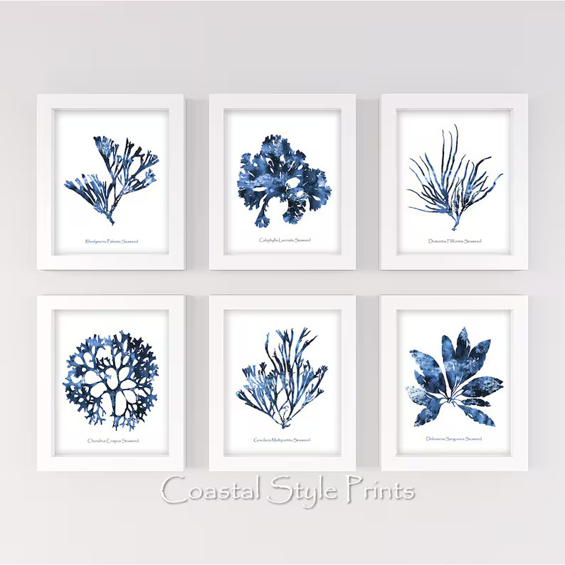 Hamptons Wall Art Set of 6 Prints Coral Print Set Coastal | Etsy | Etsy (US)