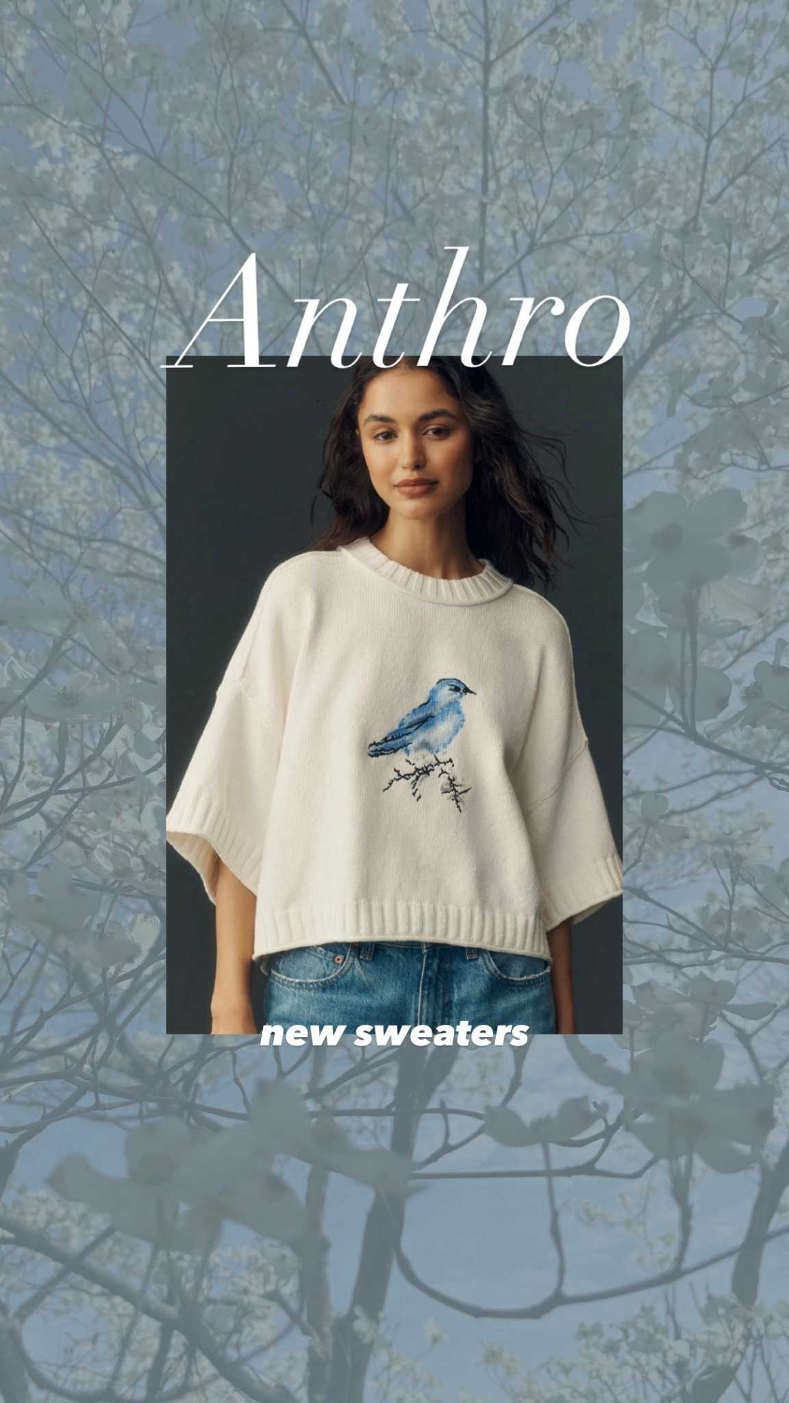 New spring sweaters from Anthropologie! Prettiest spring motif sweaters by BarbiGia. Bluebird sweater. Beach sweater outfit idea 



#LTKgrwm #LTKSeasonal #LTKootd