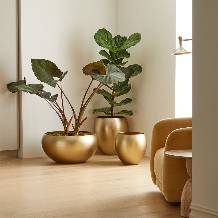 Organic Metal Floor Planters | West Elm (US)