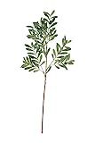 Creative Co-Op Olive Branch Faux Botanical, Green | Amazon (US)
