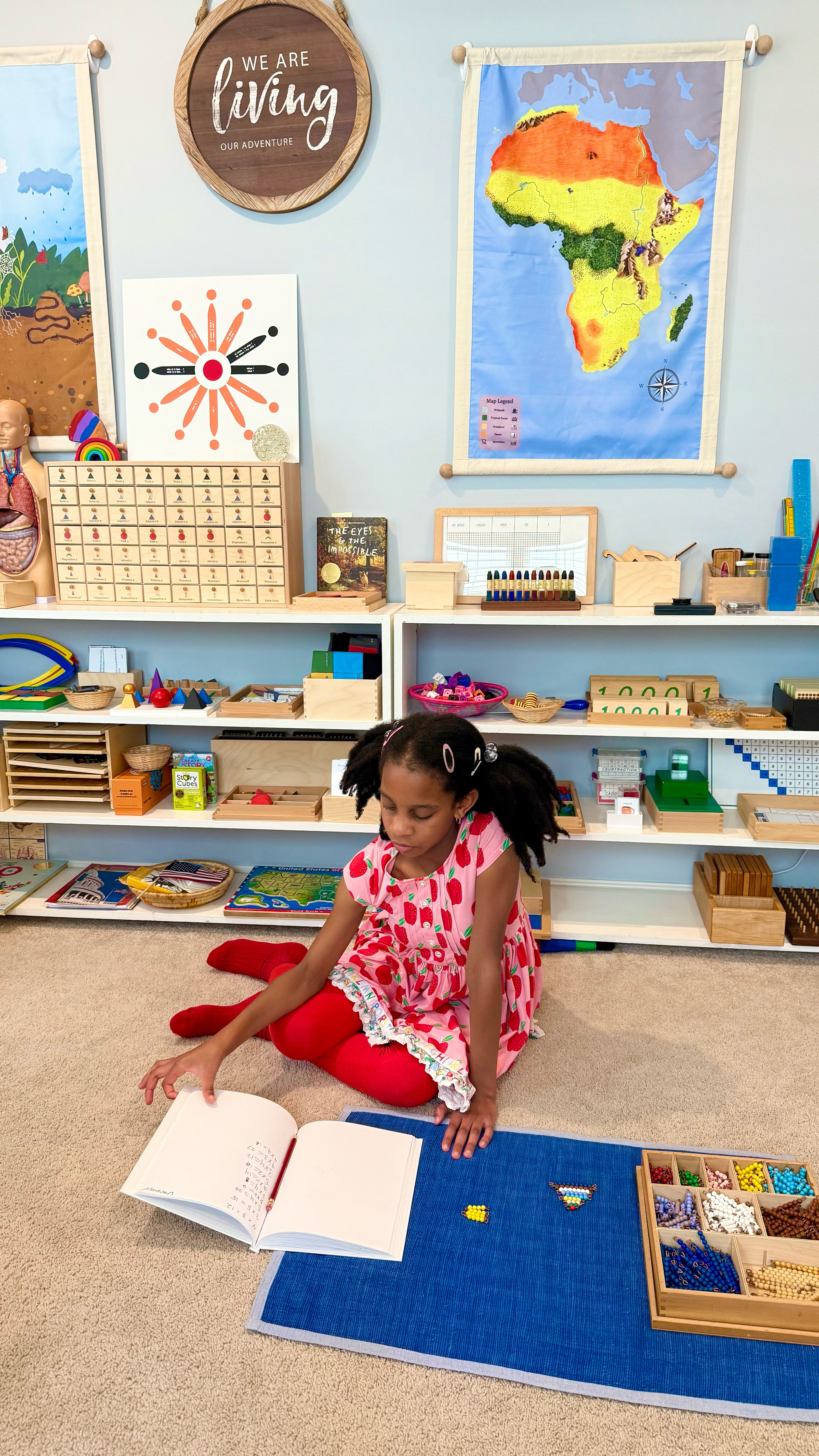 Here are links to a few options of the Montessori colored beads that we use for my daughter’s math work. We use a decanomial which includes golden ten bars. If you already have ten bars you make be able to get by with a checkerboard bead box (which doesn’t include ten bars)  

#LTKKids #LTKFamily