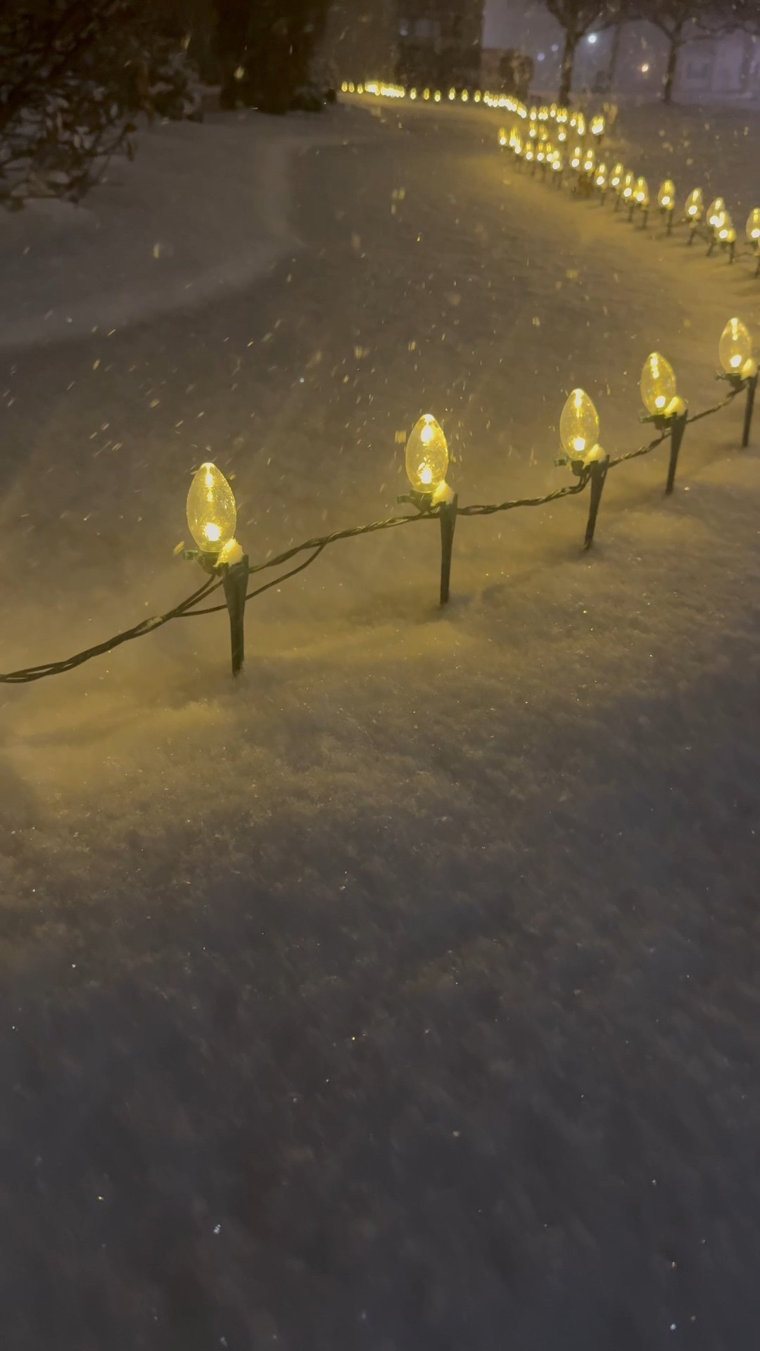 c9 Christmas lights! Love the glow these give and next to the snow LOVE 

❄️☃️🌨️
Christmas lights outdoor Christmas lights affordable Christmas lights front porch Christmas design front porch Christmas decor Christmas 2025 Christmas lights warm white Christmas lights pretty Christmas lights 


#LTKHome #LTKHoliday
