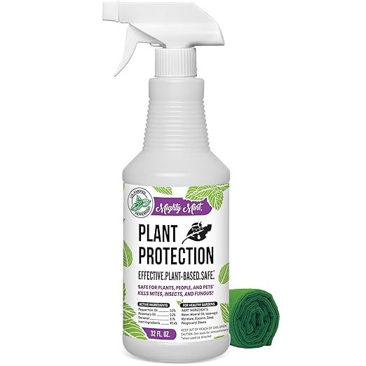Mighty Mint 32 oz Peppermint Plant Protection Spray - Kit - for Spider Mites, Insects, Gnats, Fun... | Amazon (US)