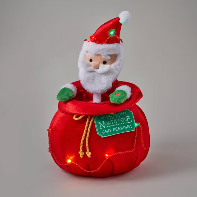 13" Santa in Bag Decorative Figurine - Wondershop™ | Target