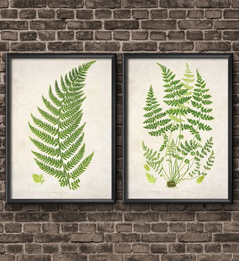 Fern Art Print Set of 2, Botanical Print, Fern Print, Botanical Art, Nature Print, Nature Art, Fe... | Etsy (US)