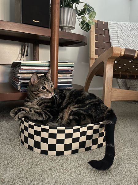 Checkered cat bed and scratcher 