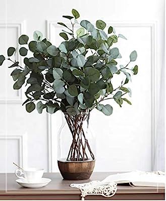 Oriental Goodpick - Life Like Artificial 5 Pcs Silver Dollar Eucalyptus - 25.6" Tall - for Room, ... | Amazon (US)