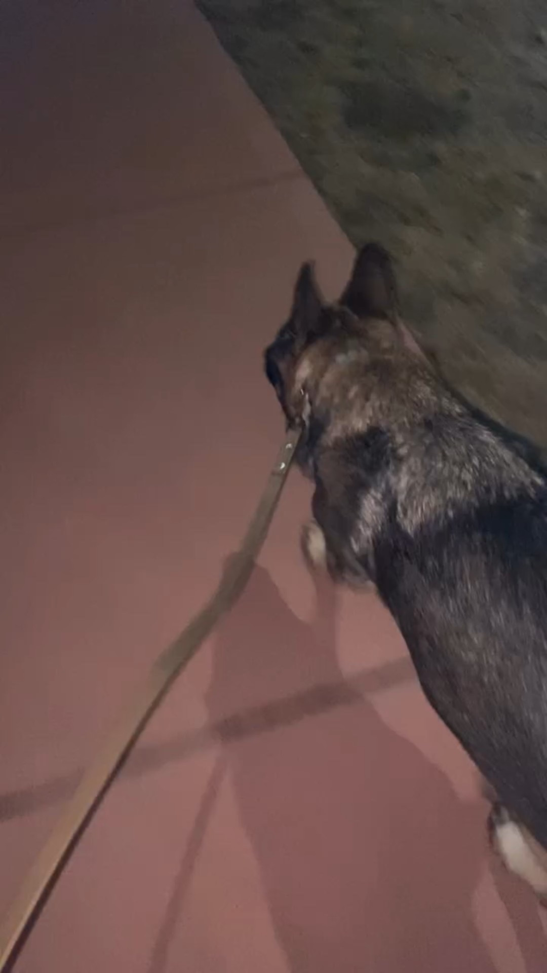 When it’s 45° at 6pm in January you take advantage of an evening walk 


#LTKdayinmylife 

#LTKstorytime #LTKselfcare #LTKvlog