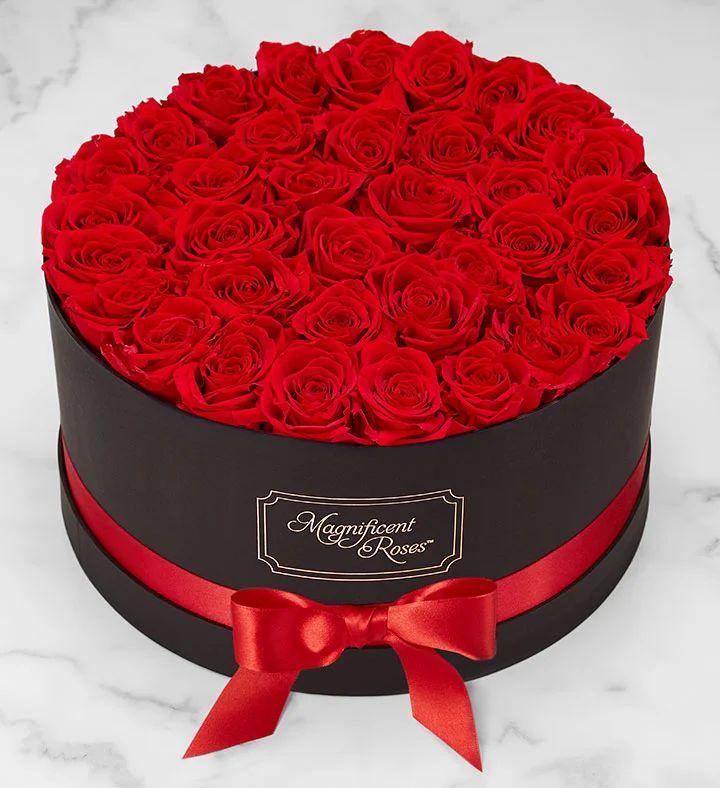 Magnificent Roses® Preserved Roses | 1800flowers.com