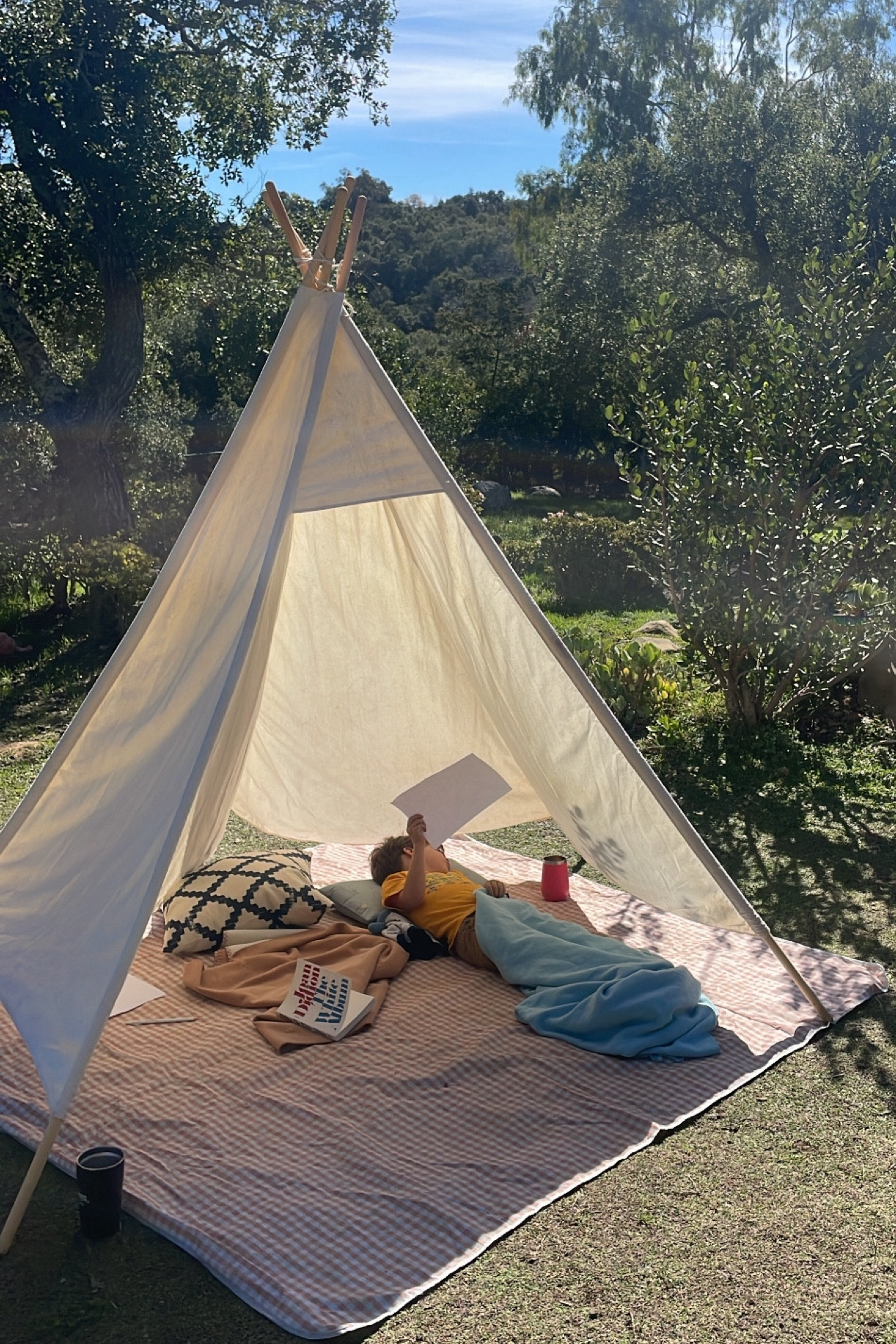 This teepee has been with us for over 2 years now and it’s a hit every summer! Lucky for you it’s on sale!!! Here’s my list of #PrimeDay picks for kids

#LTKSaleAlert #LTKFamily #LTKKids