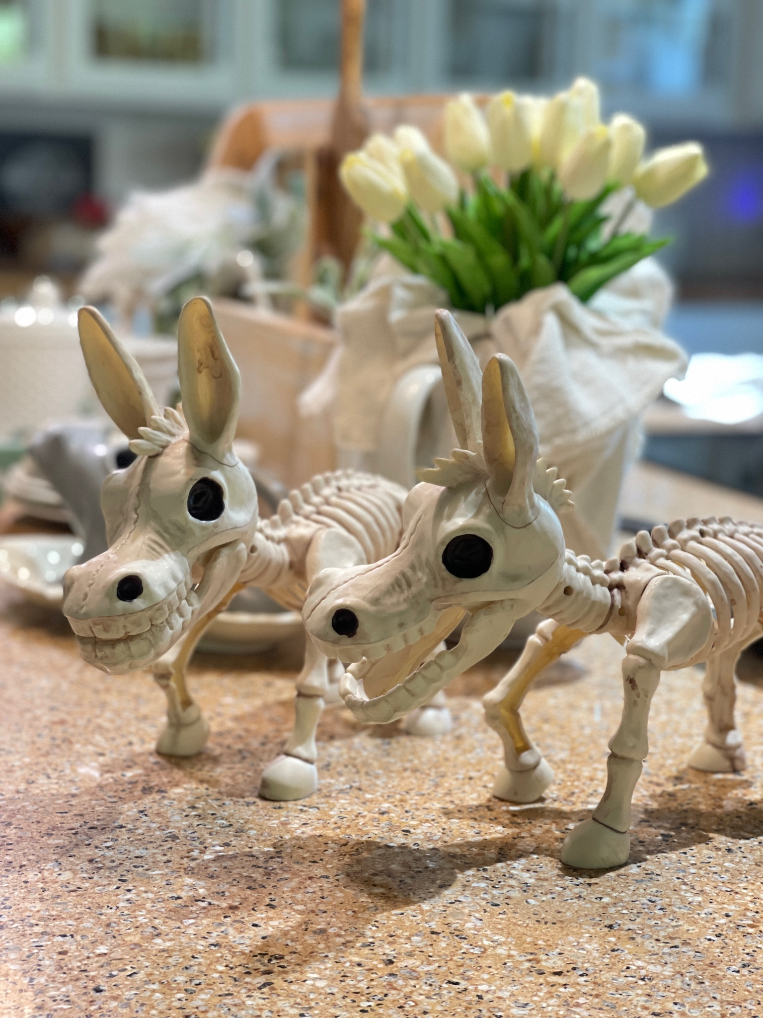I couldn’t resist when I found these adorable donkey skeletons. These are perfect addition to my farmhouse Halloween display. 

#LTKFind #LTKhome #LTKSeasonal