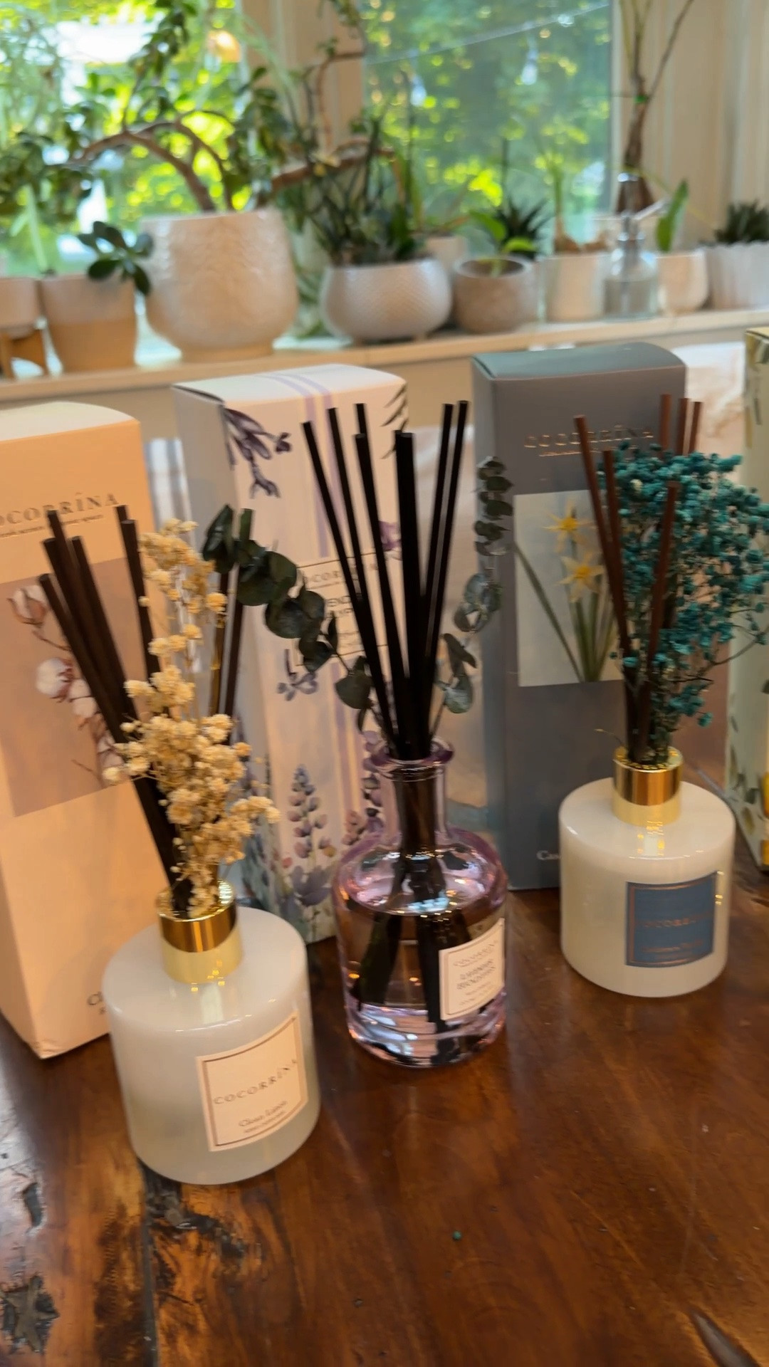 Great time to stock up on these reed scent diffusers!  Pretty & make your house smell great! Stock up!  Amazon Prime Week
#amazonprime #giveawayoninstagram

#LTKdayinmylife #LTKHome #LTKSeasonal