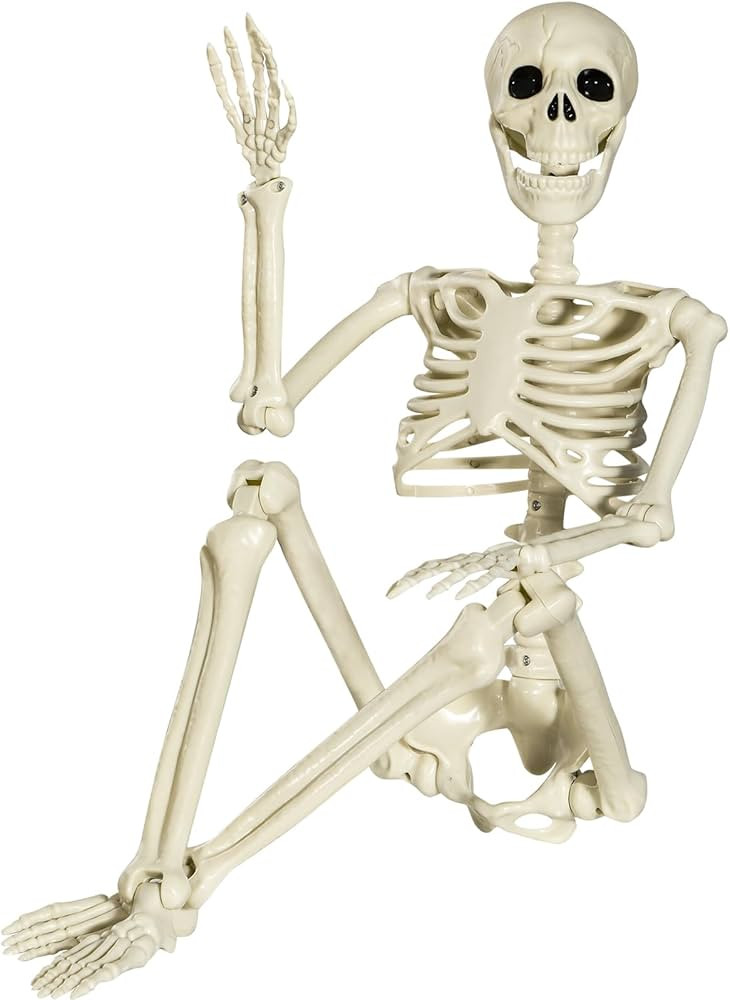 XONOR Halloween Skeleton Full Body Posable Joints , 3ft Human Skeleton Decorations for Party Haun... | Amazon (US)