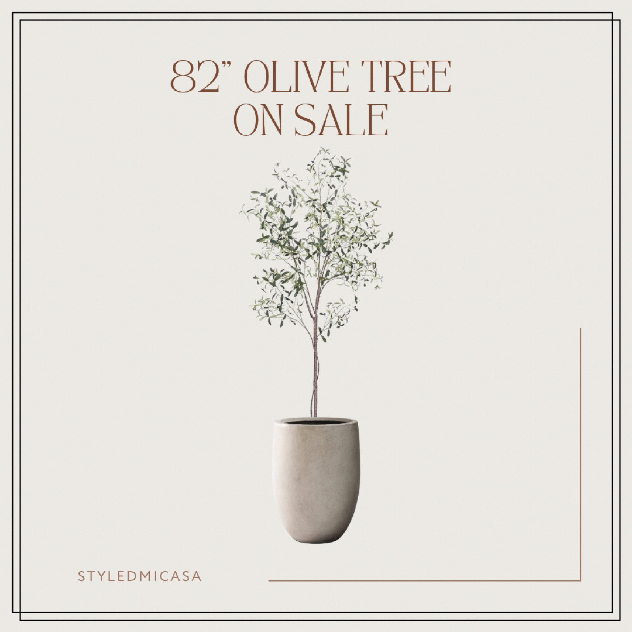 Olive tree and planter 

#LTKhome #LTKSeasonal #LTKfindsunder100
