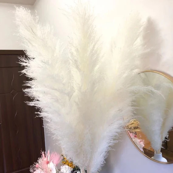 PAMPAS GRASS 5 Stem 35-47'' White  Dried Pampas Plant | Etsy | Etsy (US)