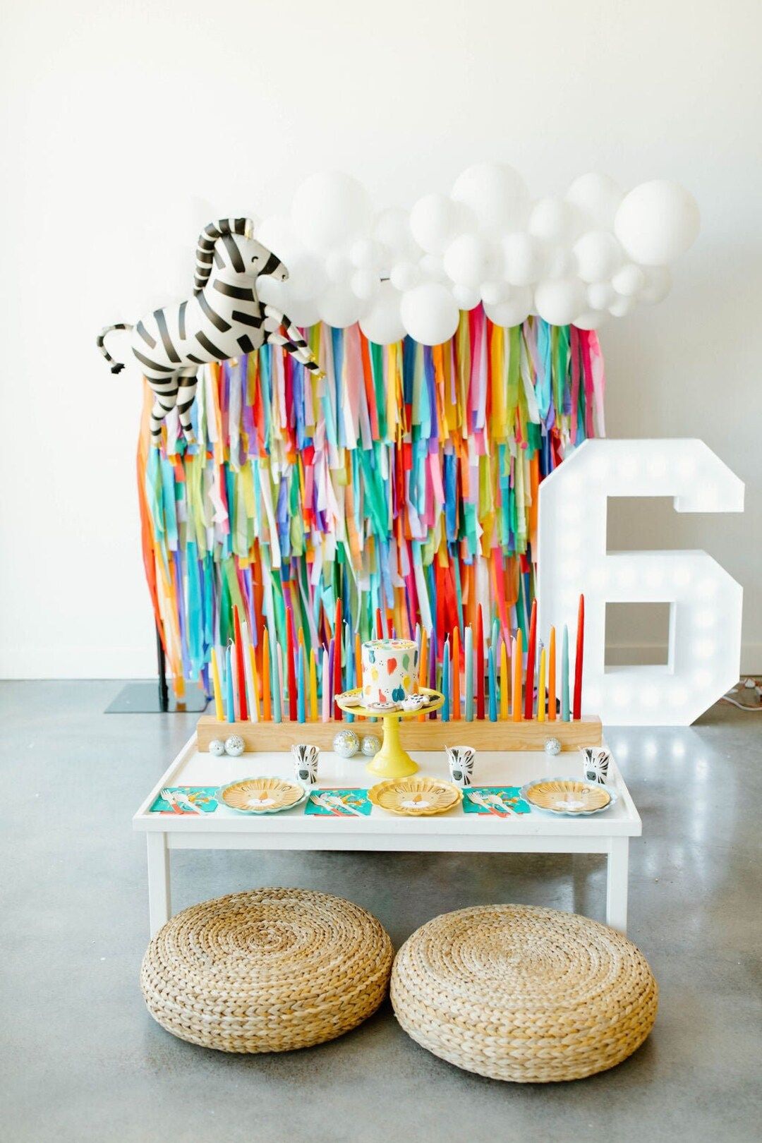 Party Animal Fringe Backdrop | Rainbow Party Decor | Colorful Party Supplies | Animal Theme Birth... | Etsy (US)