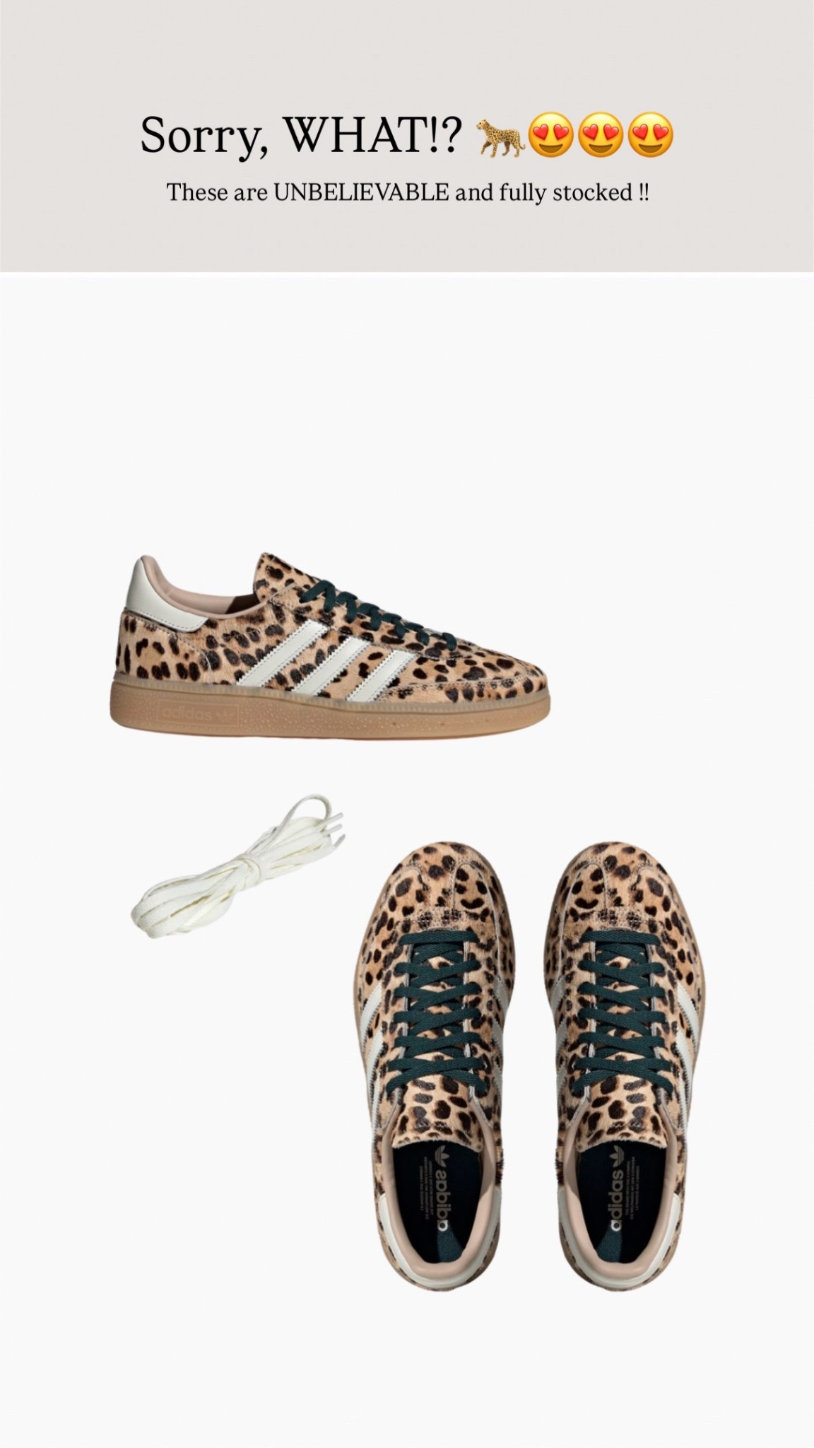 adidas Spezials in leopard!! 🐆😍

#LTKstyletip #LTKeurope #LTKwinter