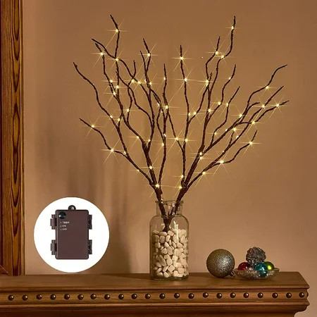 Fudios Lighted Branches with Timer Battery 70 Warm White LED Willow Branch Lights Prelit Twigs for V | Walmart (US)