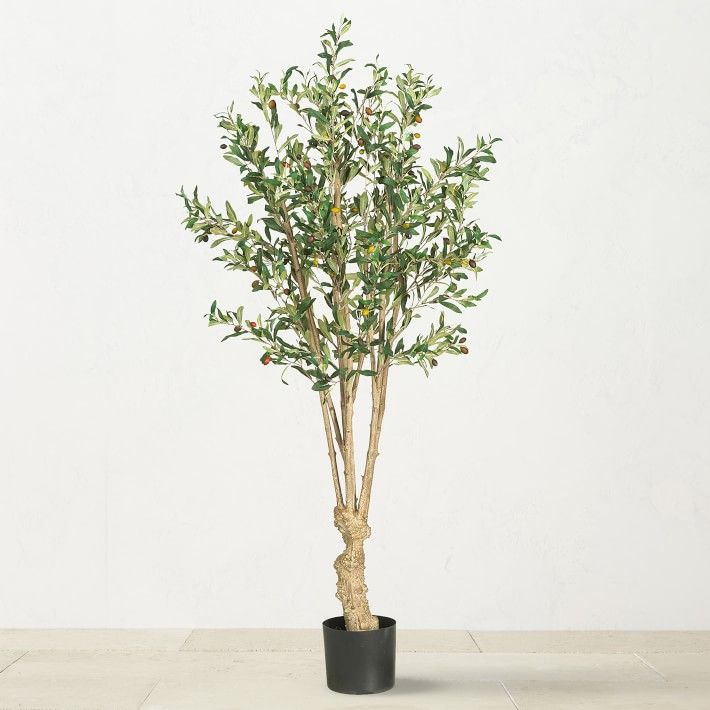 5' Faux Indoor Silk Olive Tree | Williams-Sonoma
