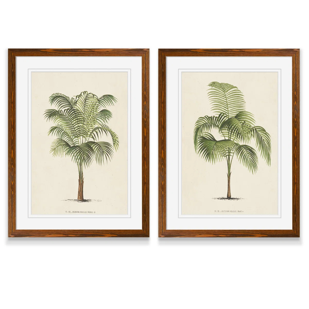 Beachcrest Home™ Les Palmiers III by Vincent Van Gogh - 2 Piece Picture Frame Print Set & Revie... | Wayfair North America