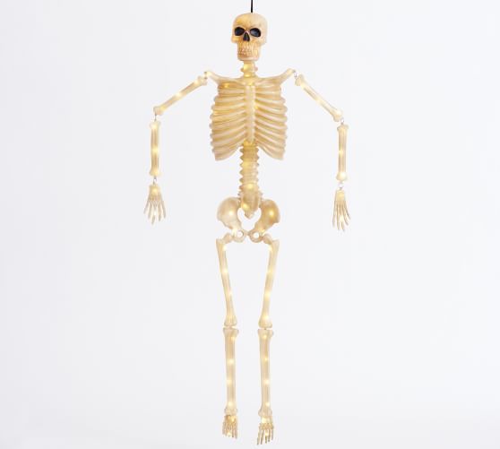 Lit Mr. Bones | Pottery Barn (US)