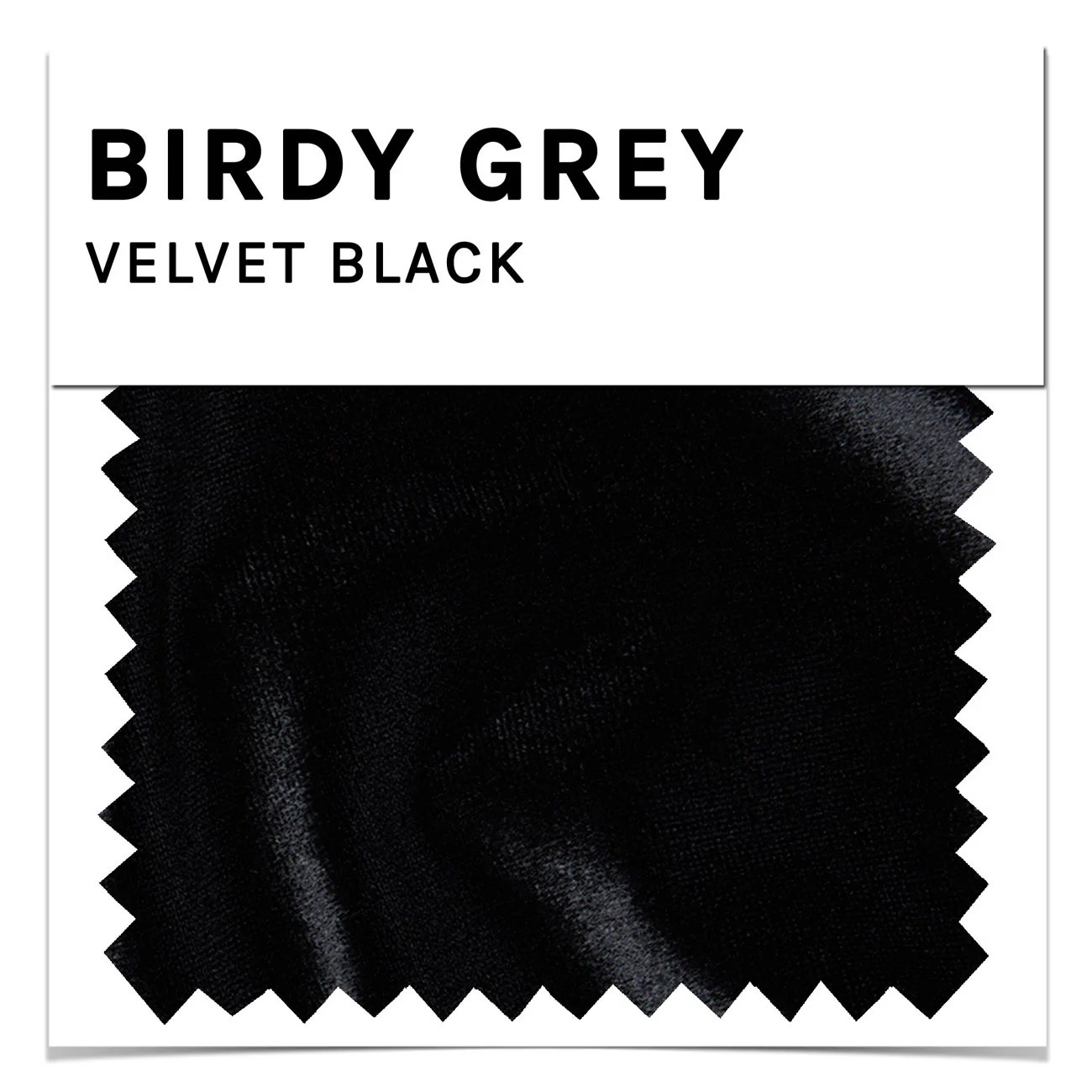 Swatch - Velvet in Black | Birdy Grey
