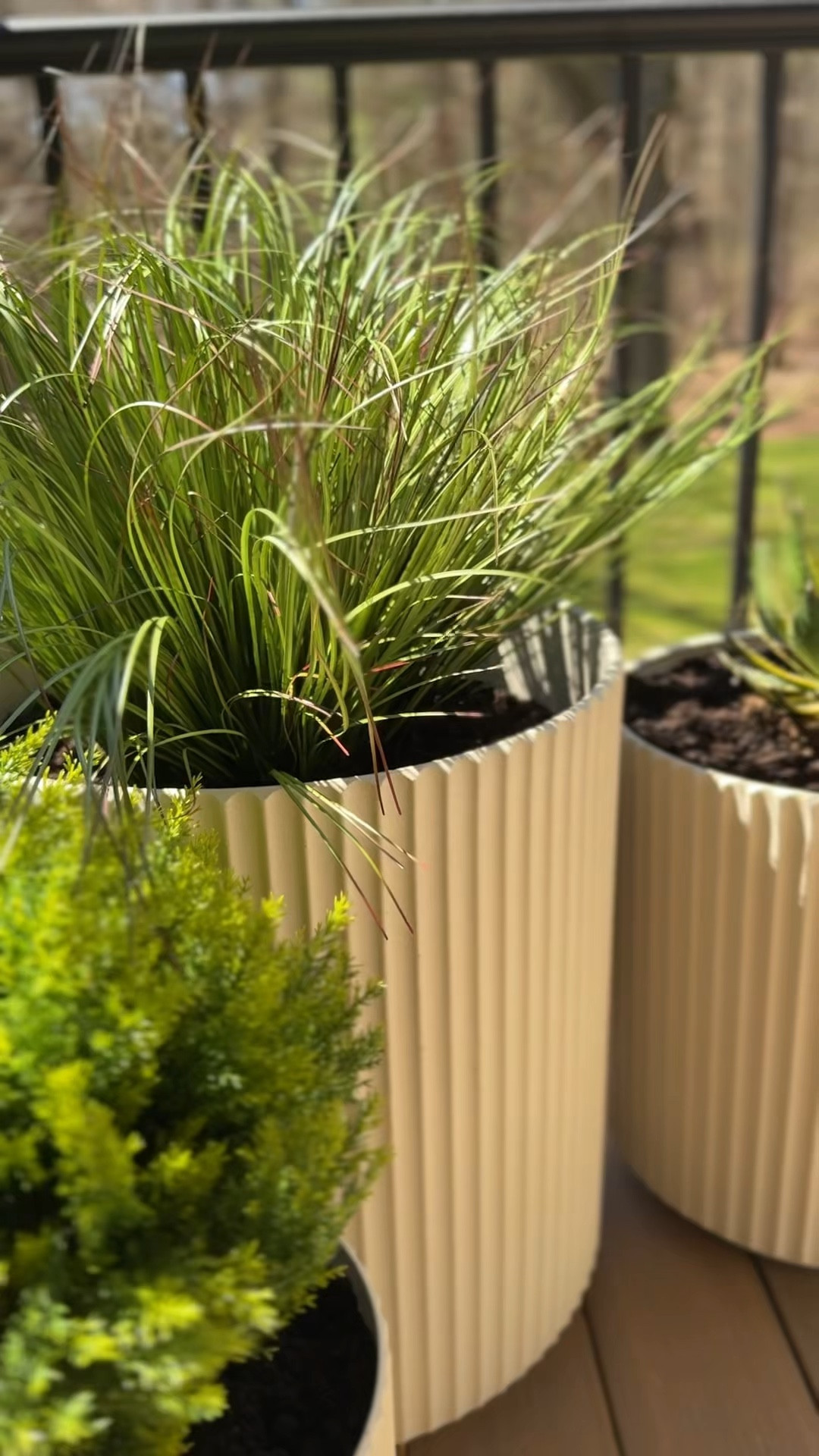 These Veradek planters have completely transformed our back porch 🌿 I have them in three different sizes and the trio looks so good together, they’re the perfect way to add some life to any outdoor space. Linking all three sizes here 🤍

#LTKSaleAlert #LTKSeasonal #LTKHome