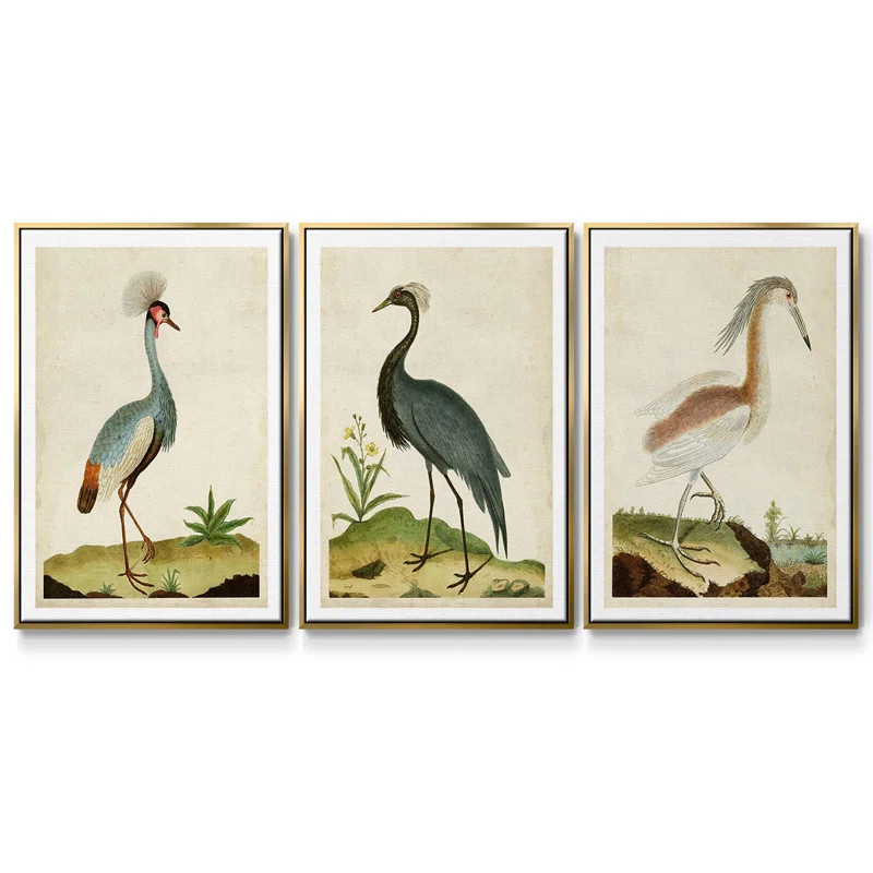 " Heron Portrait I " 3 - Pieces (Set of 3) | Wayfair North America
