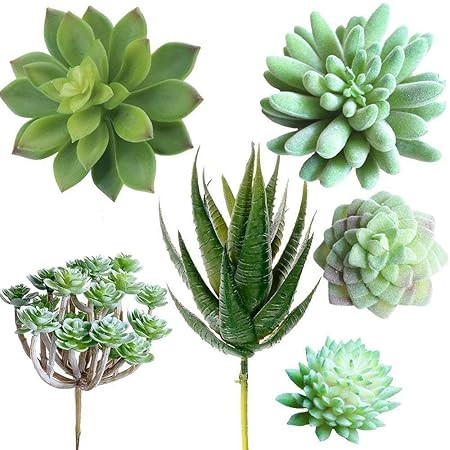 Supla Pack of 6 Assorted Artificial Echeveria Succulent Picks Textured Faux Succulent Pick Agave ... | Amazon (US)